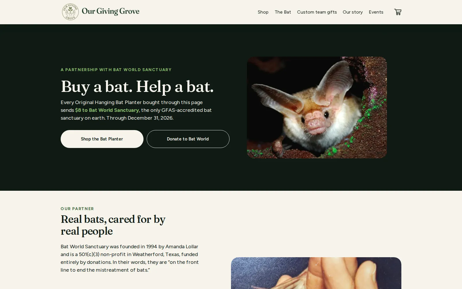 The top of a campaign landing page, headlined "Buy a bat. Help a bat." on a dark green band beside a close-up photograph of a pale bat with large ears peering out of a rocky hollow.